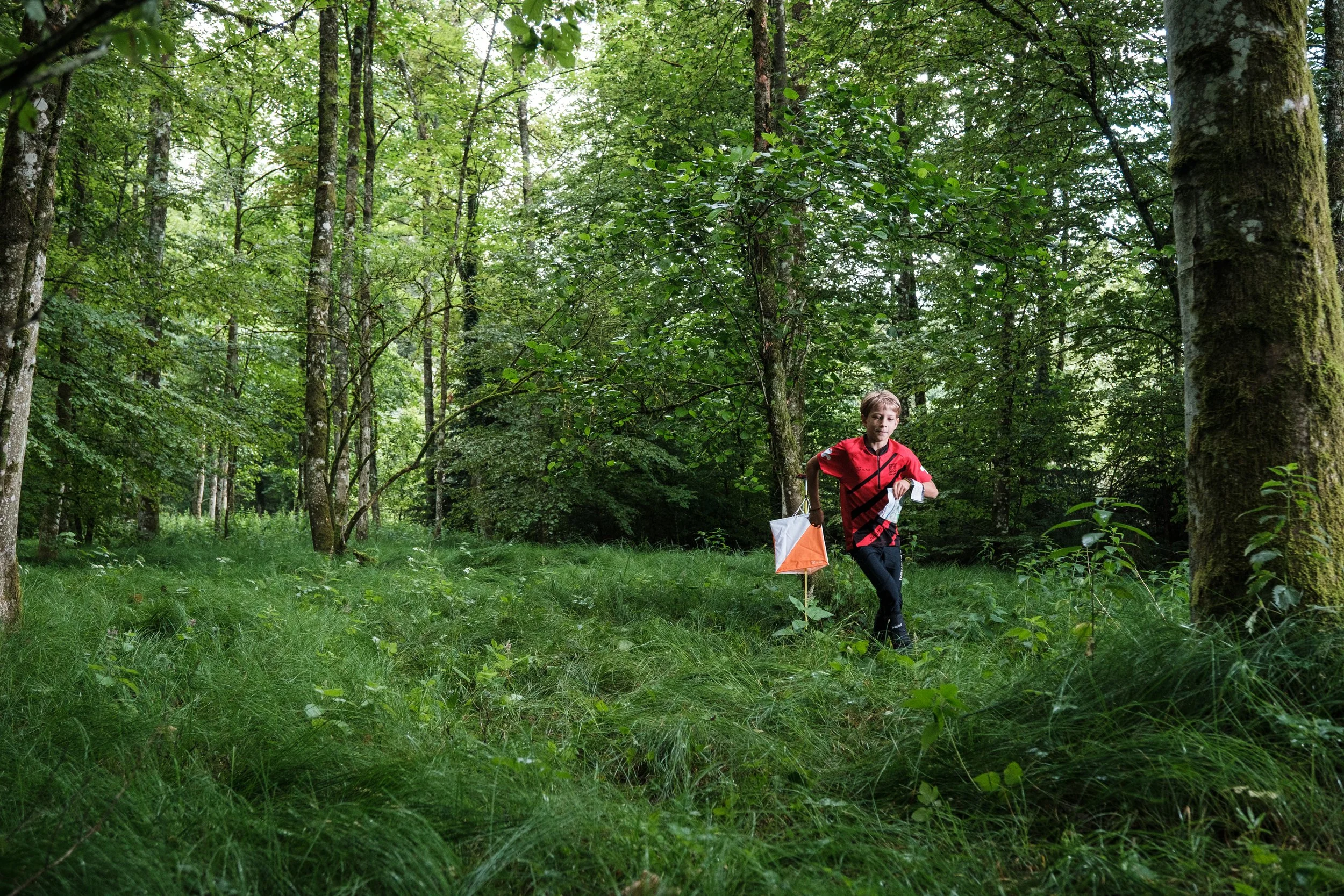 Ein Junge läuft durch einen grünen Wald mit hohen Bäumen, trägt ein rotes T-Shirt und hat einen Drachen in der Hand.