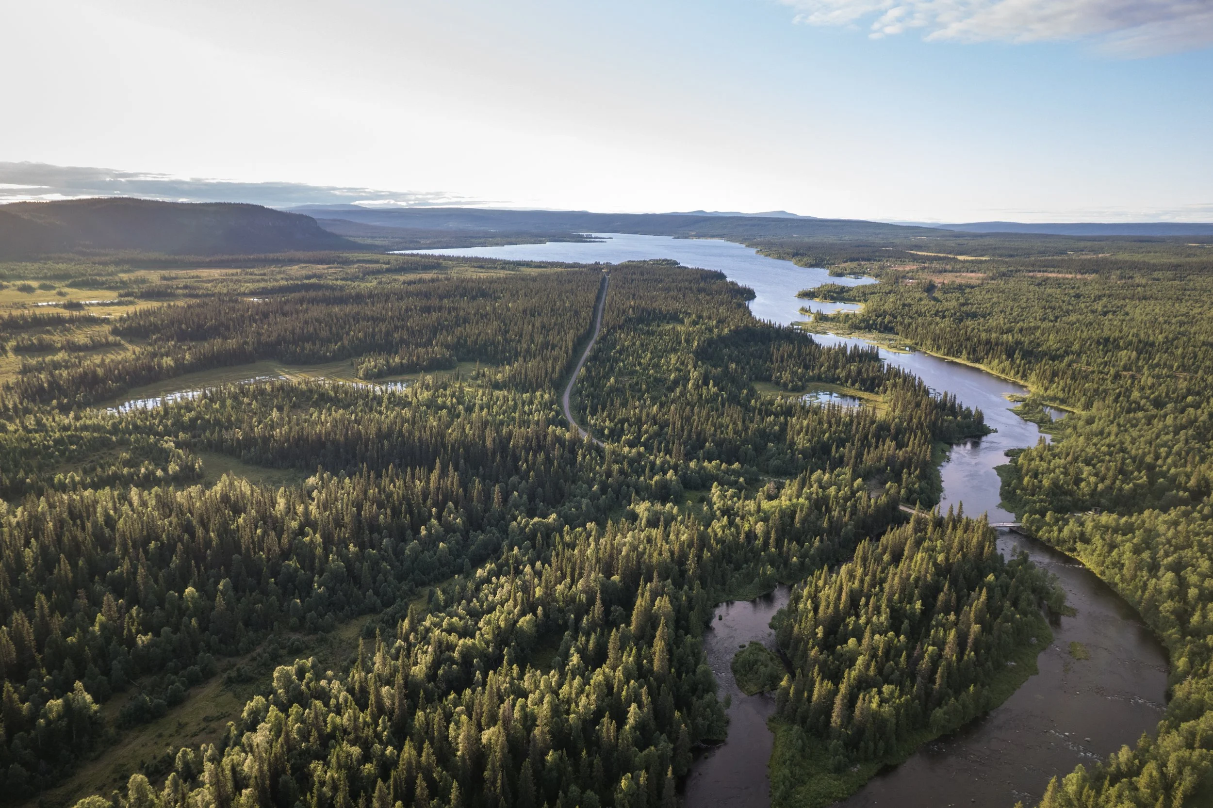 Luftaufnahme einer Flusslandschaft mit vielen Bäumen, mehreren Flüssen und Seen, sowie einer Straße, die durch die Natur führt