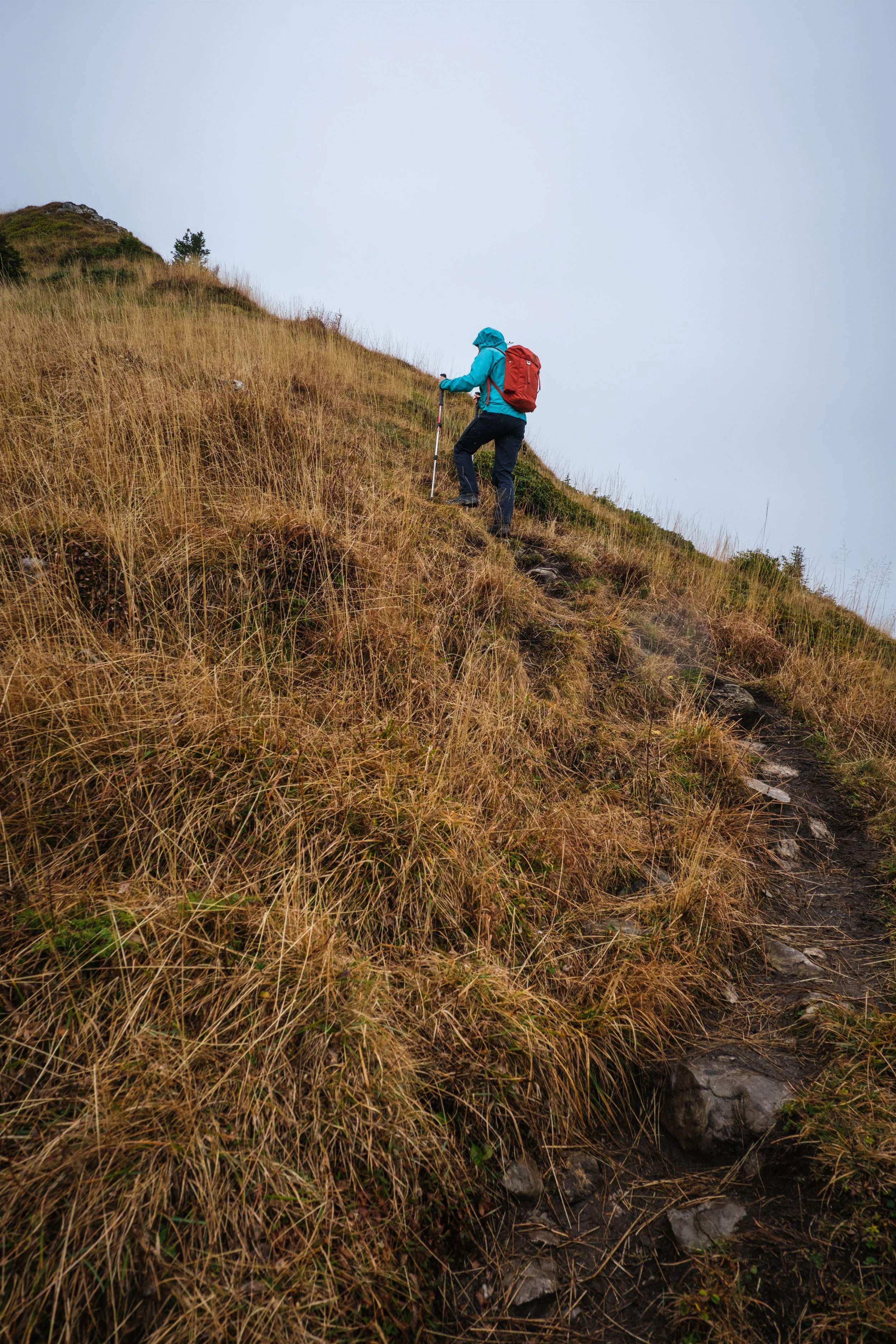 Eine Person in einer blauen Jacke mit rotem Rucksack und Wanderstöcken steigt einen schmalen, steilen Bergpfad auf trockenem Gras und Steine hinauf.