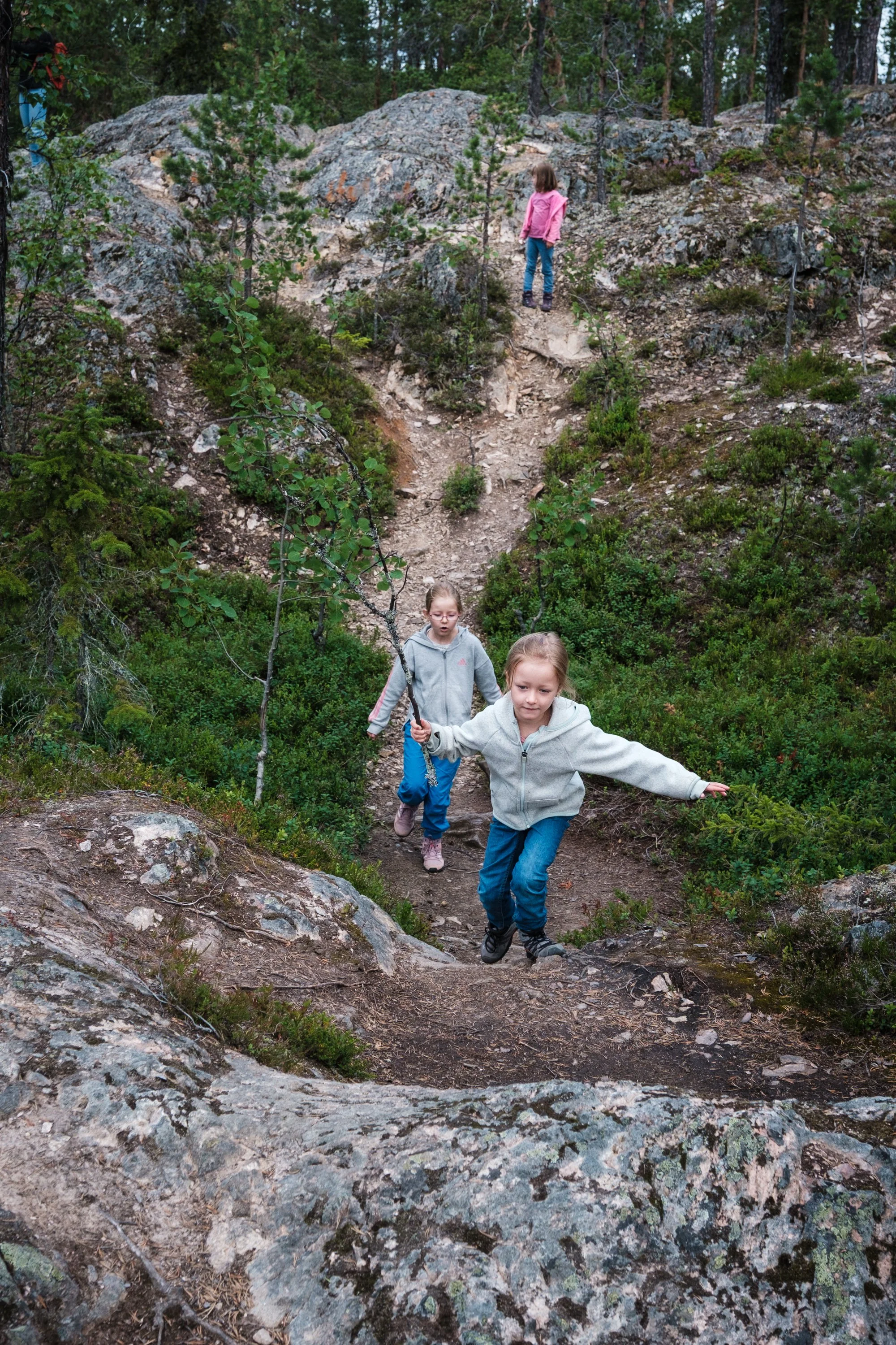 Drei Kinder beim Wandern auf einem bewaldeten Wanderweg, die vorwärts klettern, mit einem Mädchen in grauem Hoodie an der Spitze, gefolgt von zwei Mädchen in grauen Jacken.